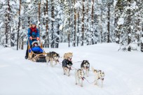 Lapland Rovaniemi & Ruka